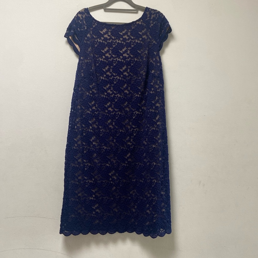Dressbarn formal dress navy blue lace over tan lining scalloped edges Sz16 woman